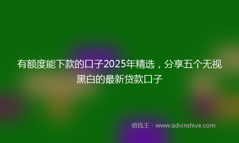 有额度能下款的口子2025年精选，分享五个无视黑白的最新贷款口子