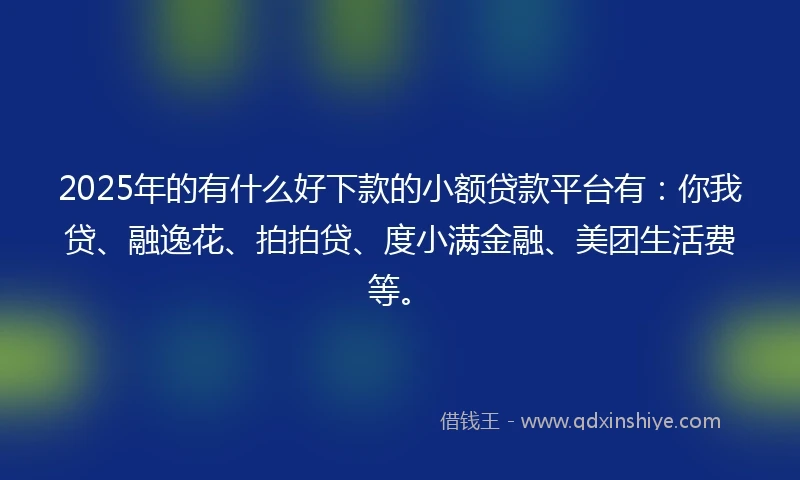 2025年的有什么好下款的小额贷款平台有：你我贷、融逸花、拍拍贷、度小满金融、美团生活费等。
