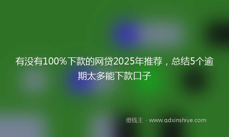 有没有100%下款的网贷2025年推荐，总结5个逾期太多能下款口子