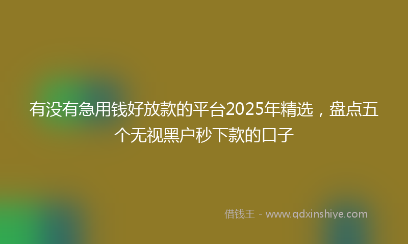 有没有急用钱好放款的平台2025年精选，盘点五个无视黑户秒下款的口子