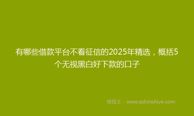 有哪些借款平台不看征信的2025年精选，概括5个无视黑白好下款的口子