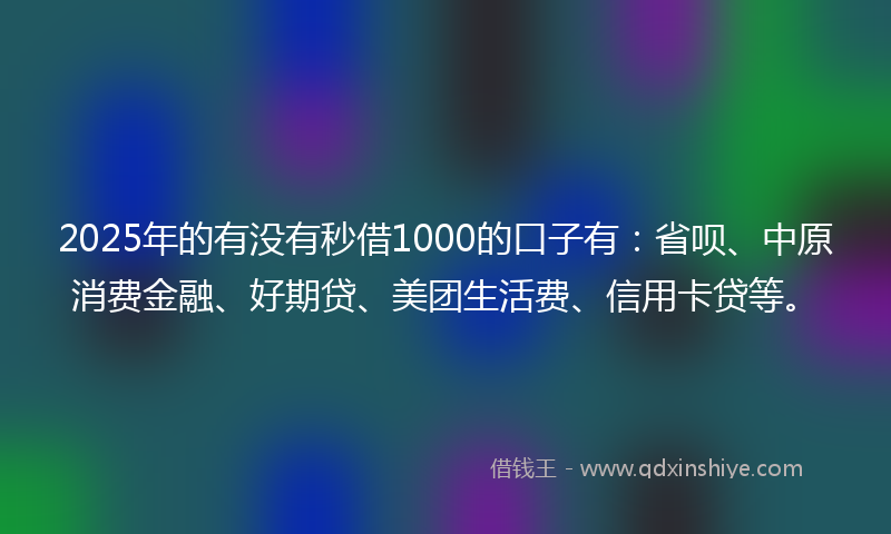 2025年的有没有秒借1000的口子有：省呗、中原消费金融、好期贷、美团生活费、信用卡贷等。