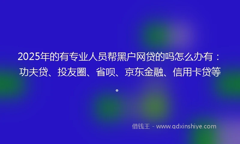 2025年的有专业人员帮黑户网贷的吗怎么办有：功夫贷、投友圈、省呗、京东金融、信用卡贷等。