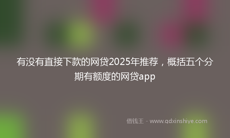 有没有直接下款的网贷2025年推荐，概括五个分期有额度的网贷app