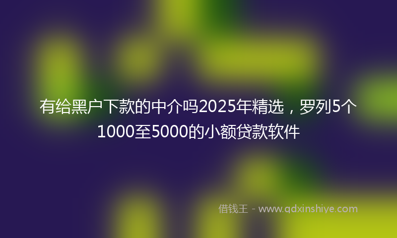 有给黑户下款的中介吗2025年精选，罗列5个1000至5000的小额贷款软件