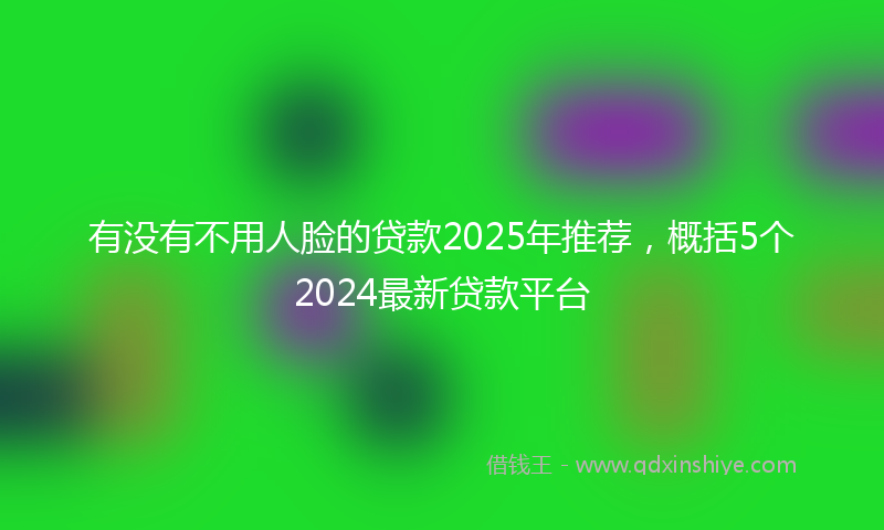 有没有不用人脸的贷款2025年推荐，概括5个2024最新贷款平台