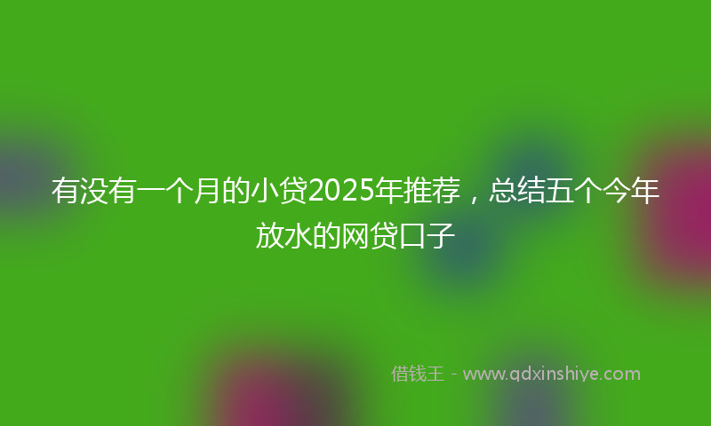 有没有一个月的小贷2025年推荐，总结五个今年放水的网贷口子