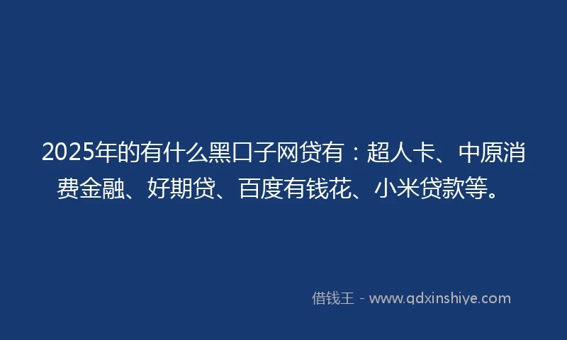 2025年的有什么黑口子网贷有：超人卡、中原消费金融、好期贷、百度有钱花、小米贷款等。