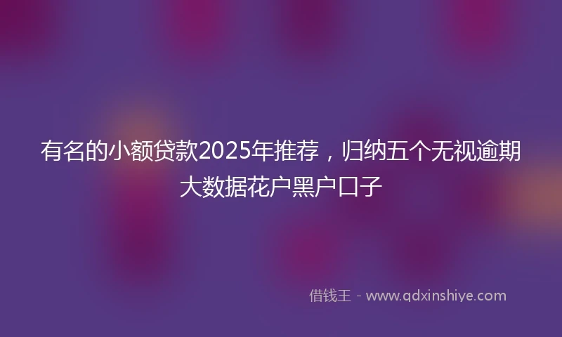 有名的小额贷款2025年推荐,归纳五个无视逾期大数据花户黑户口子