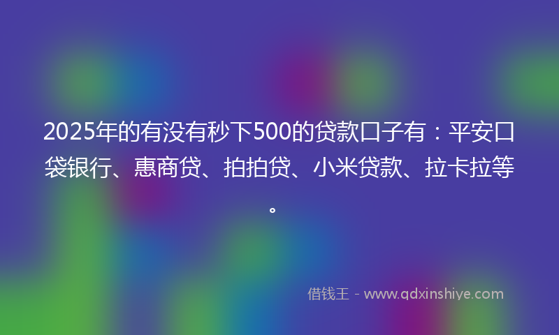 2025年的有没有秒下500的贷款口子有：平安口袋银行、惠商贷、拍拍贷、小米贷款、拉卡拉等。
