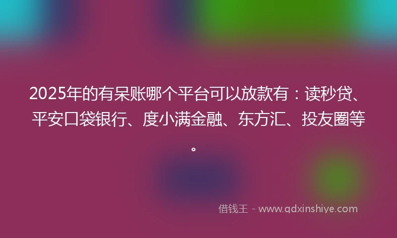 2025年的有呆账哪个平台可以放款有：读秒贷、平安口袋银行、度小满金融、东方汇、投友圈等。