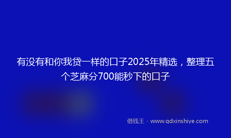 有没有和你我贷一样的口子2025年精选，整理五个芝麻分700能秒下的口子