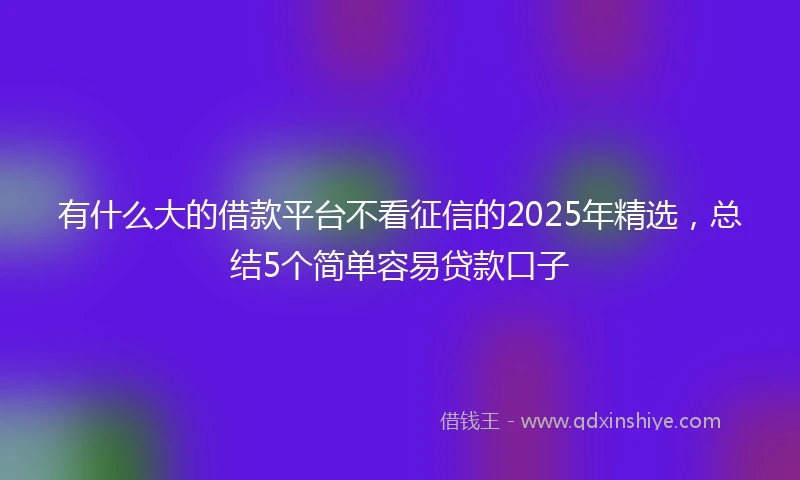 有什么大的借款平台不看征信的2025年精选，总结5个简单容易贷款口子
