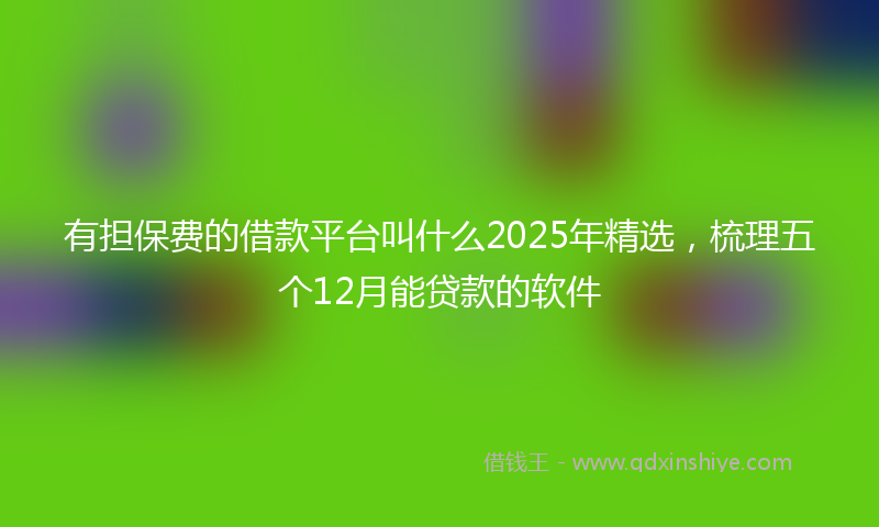 有担保费的借款平台叫什么2025年精选，梳理五个12月能贷款的软件