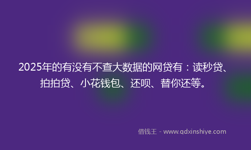 2025年的有没有不查大数据的网贷有：读秒贷、拍拍贷、小花钱包、还呗、替你还等。