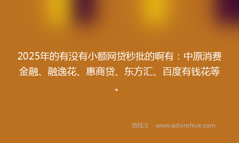2025年的有没有小额网贷秒批的啊有：中原消费金融、融逸花、惠商贷、东方汇、百度有钱花等。
