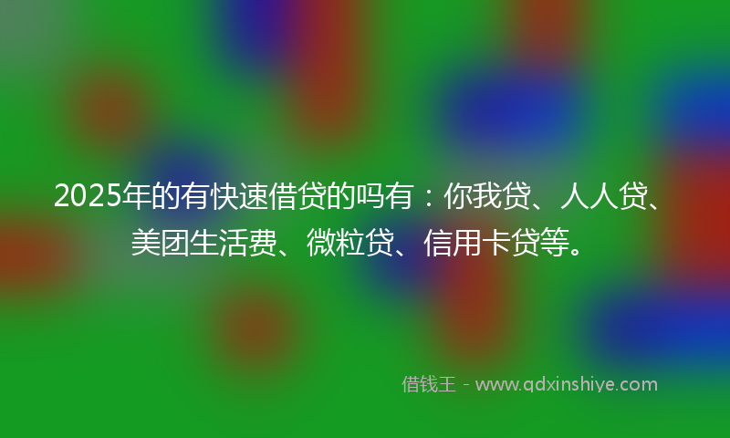 2025年的有快速借贷的吗有：你我贷、人人贷、美团生活费、微粒贷、信用卡贷等。