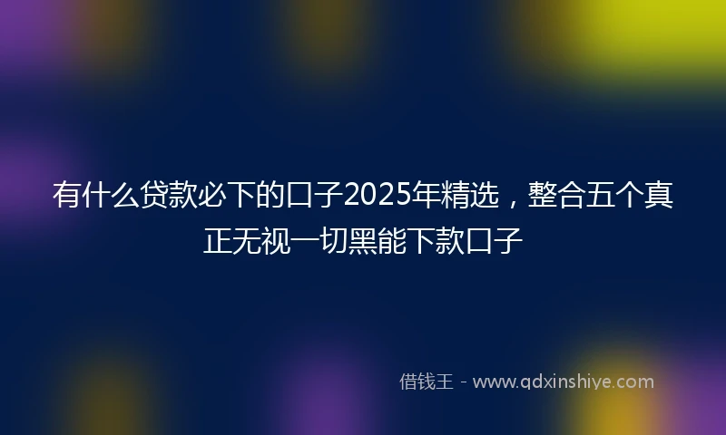 有什么贷款必下的口子2025年精选，整合五个真正无视一切黑能下款口子