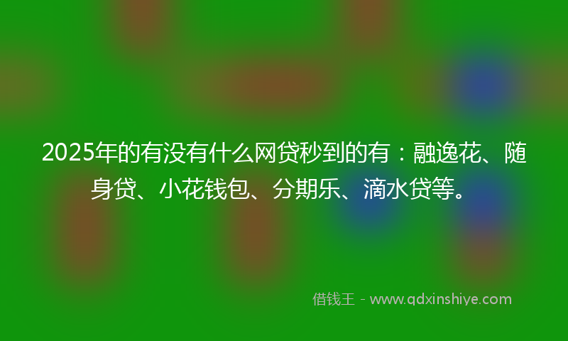 2025年的有没有什么网贷秒到的有：融逸花、随身贷、小花钱包、分期乐、滴水贷等。