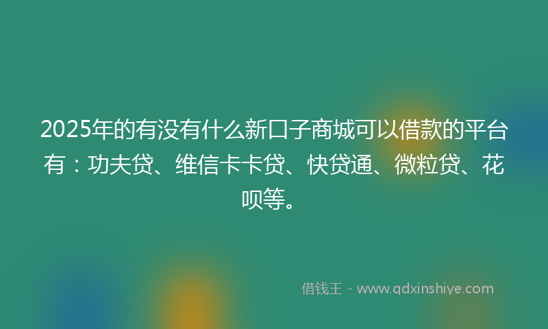 2025年的有没有什么新口子商城可以借款的平台有：功夫贷、维信卡卡贷、快贷通、微粒贷、花呗等。
