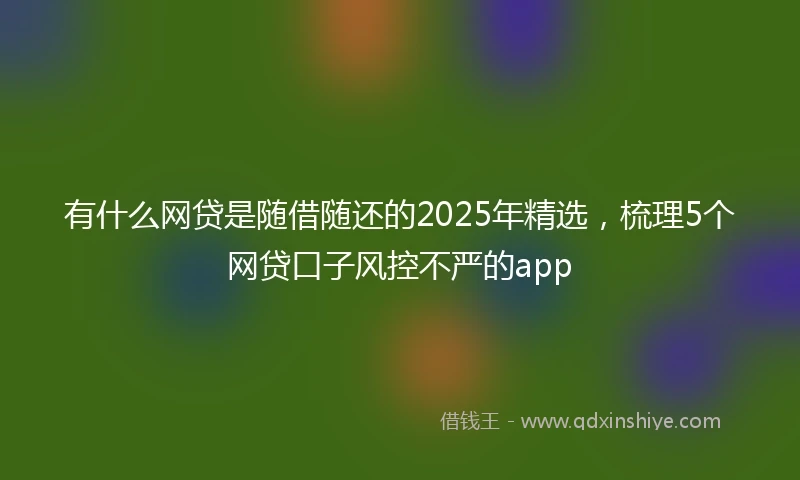 有什么网贷是随借随还的2025年精选，梳理5个网贷口子风控不严的app