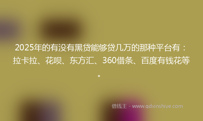 2025年的有没有黑贷能够贷几万的那种平台有：拉卡拉、花呗、东方汇、360借条、百度有钱花等。