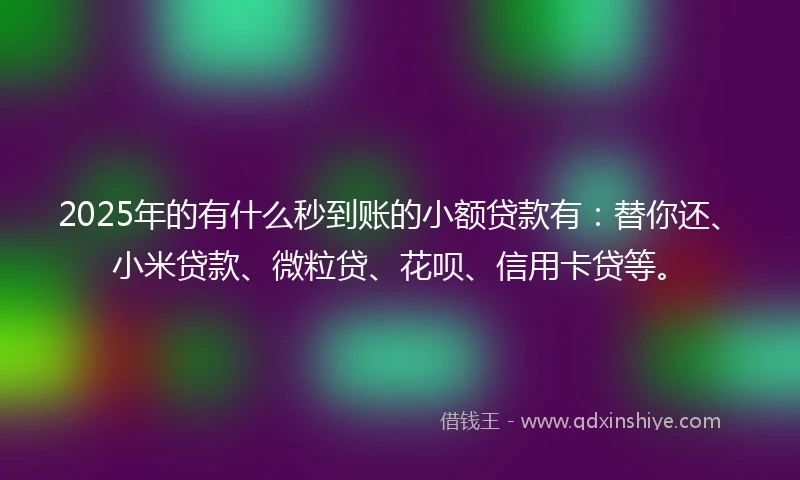 2025年的有什么秒到账的小额贷款有：替你还、小米贷款、微粒贷、花呗、信用卡贷等。