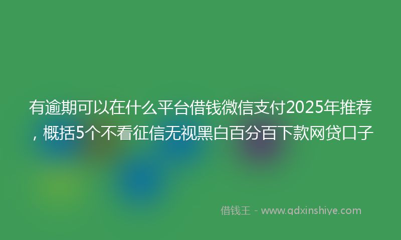 有逾期可以在什么平台借钱微信支付2025年推荐，概括5个不看征信无视黑白百分百下款网贷口子