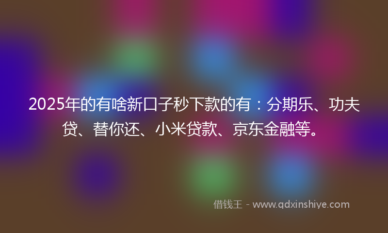 2025年的有啥新口子秒下款的有：分期乐、功夫贷、替你还、小米贷款、京东金融等。