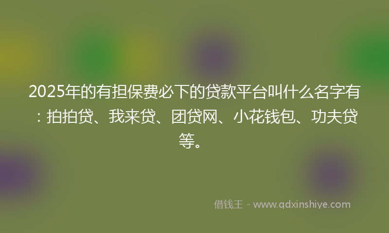 2025年的有担保费必下的贷款平台叫什么名字有：拍拍贷、我来贷、团贷网、小花钱包、功夫贷等。