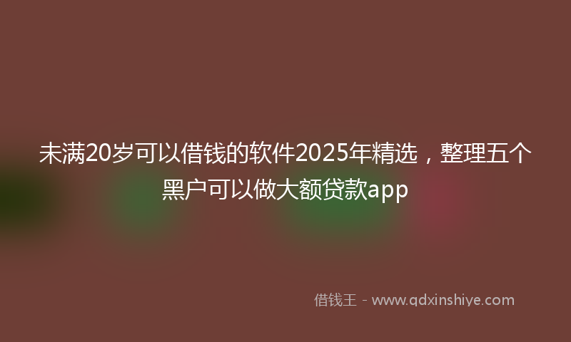 未满20岁可以借钱的软件2025年精选，整理五个黑户可以做大额贷款app