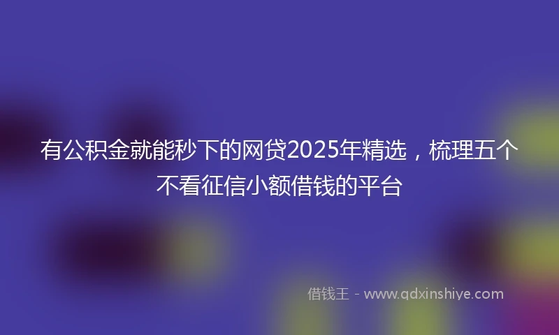 有公积金就能秒下的网贷2025年精选，梳理五个不看征信小额借钱的平台