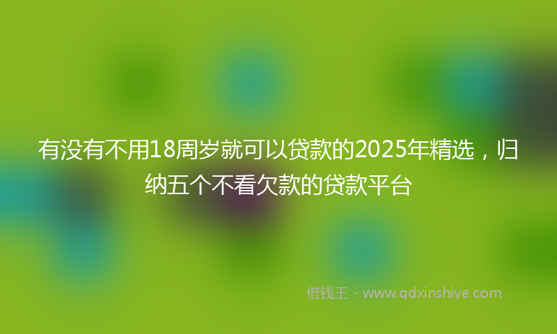 有没有不用18周岁就可以贷款的2025年精选，归纳五个不看欠款的贷款平台
