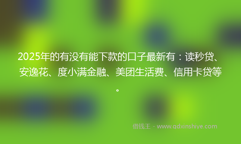 2025年的有没有能下款的口子最新有：读秒贷、安逸花、度小满金融、美团生活费、信用卡贷等。