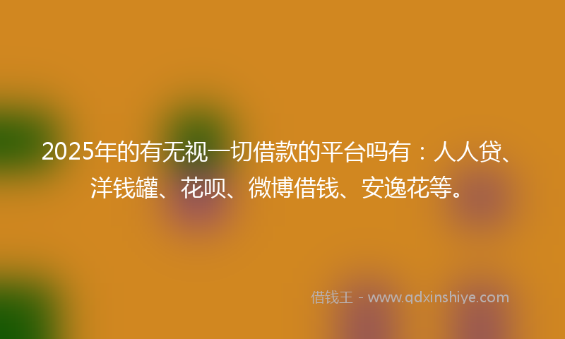 2025年的有无视一切借款的平台吗有：人人贷、洋钱罐、花呗、微博借钱、安逸花等。
