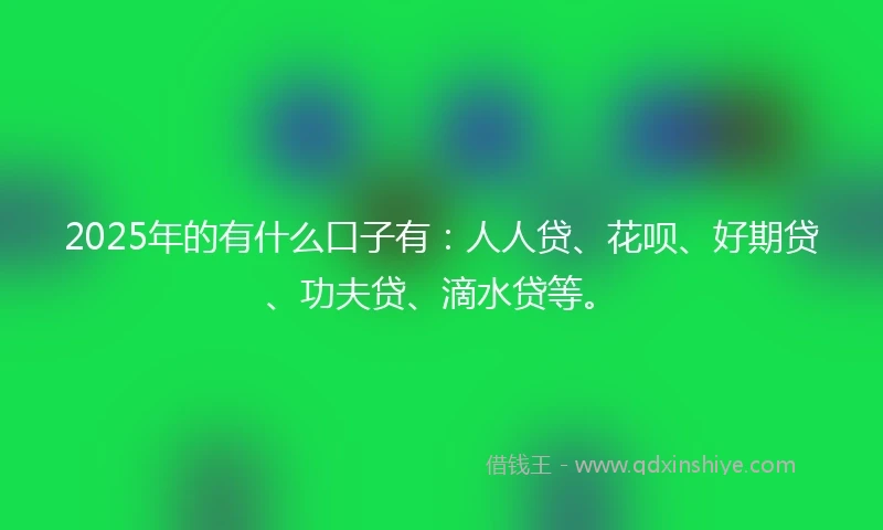 2025年的有什么口子有：人人贷、花呗、好期贷、功夫贷、滴水贷等。