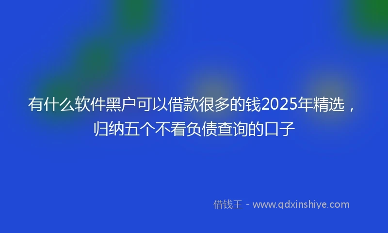 有什么软件黑户可以借款很多的钱2025年精选，归纳五个不看负债查询的口子