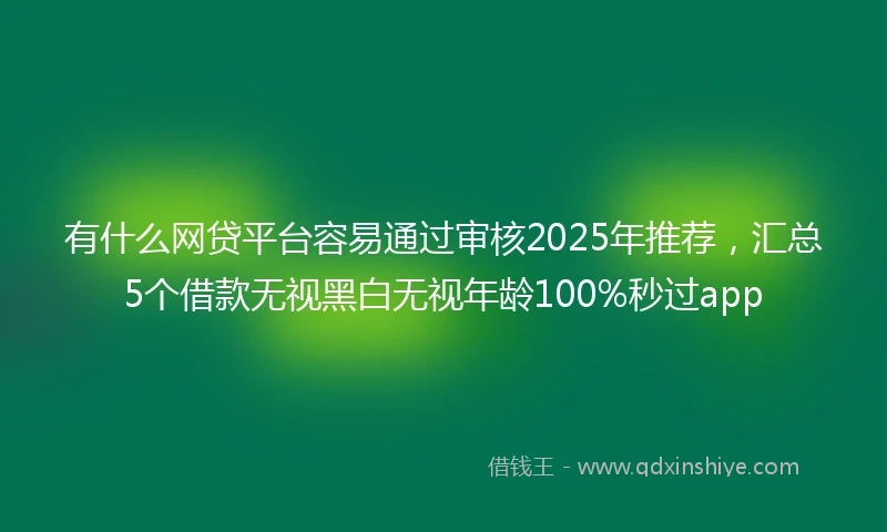 有什么网贷平台容易通过审核2025年推荐，汇总5个借款无视黑白无视年龄100%秒过app