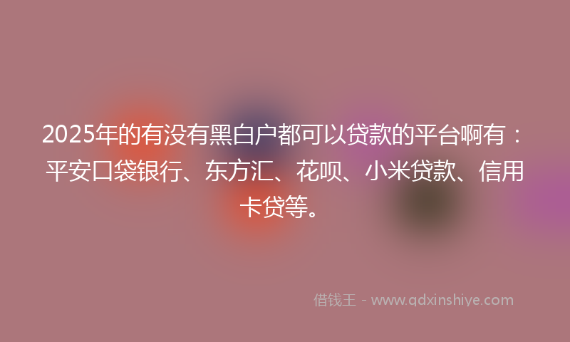 2025年的有没有黑白户都可以贷款的平台啊有：平安口袋银行、东方汇、花呗、小米贷款、信用卡贷等。