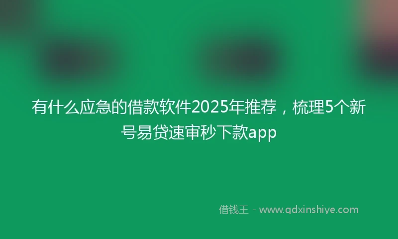 有什么应急的借款软件2025年推荐，梳理5个新号易贷速审秒下款app