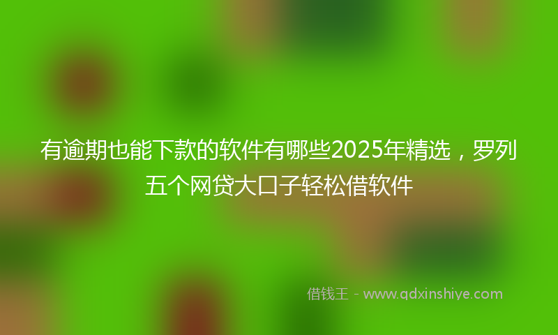 有逾期也能下款的软件有哪些2025年精选，罗列五个网贷大口子轻松借软件