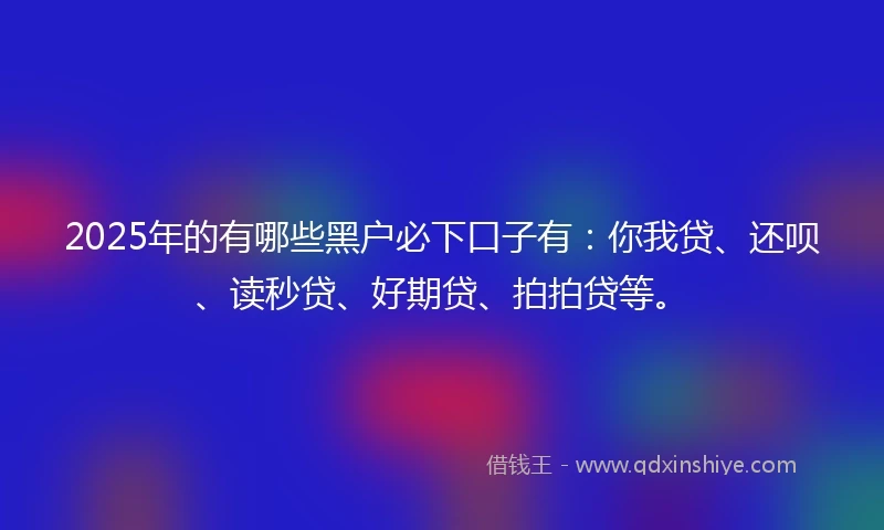 2025年的有哪些黑户必下口子有：你我贷、还呗、读秒贷、好期贷、拍拍贷等。