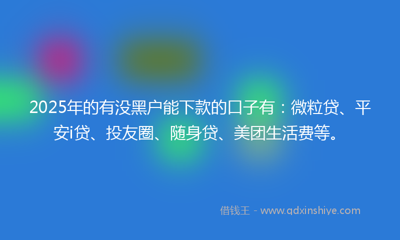 2025年的有没黑户能下款的口子有：微粒贷、平安i贷、投友圈、随身贷、美团生活费等。