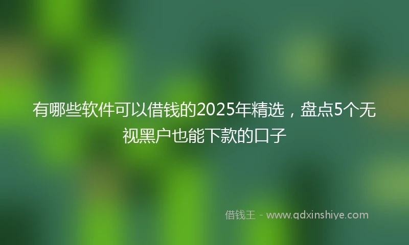 有哪些软件可以借钱的2025年精选，盘点5个无视黑户也能下款的口子