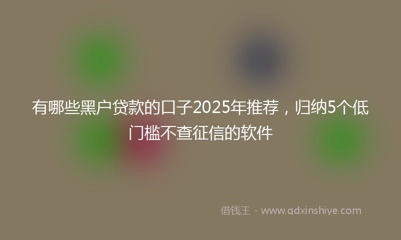 有哪些黑户贷款的口子2025年推荐，归纳5个低门槛不查征信的软件