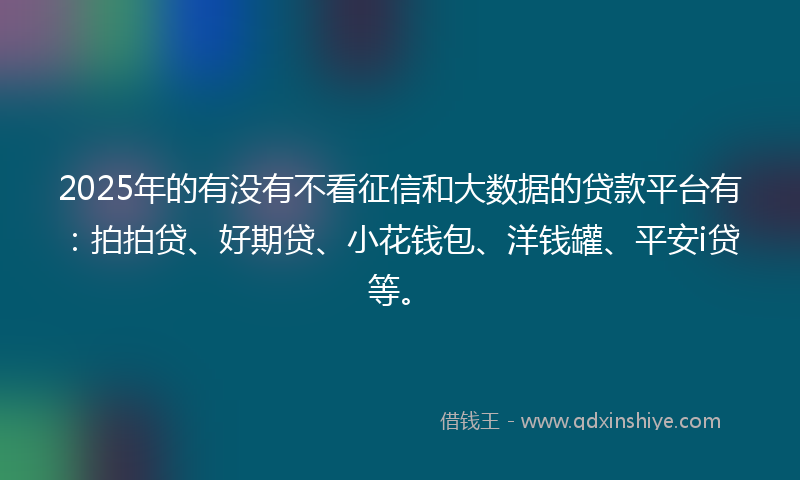 2025年的有没有不看征信和大数据的贷款平台有：拍拍贷、好期贷、小花钱包、洋钱罐、平安i贷等。