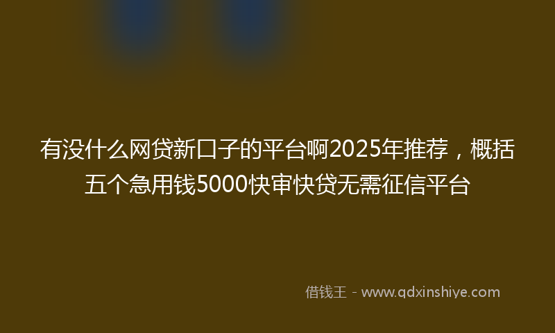 有没什么网贷新口子的平台啊2025年推荐，概括五个急用钱5000快审快贷无需征信平台