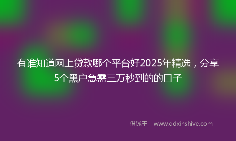 有谁知道网上贷款哪个平台好2025年精选，分享5个黑户急需三万秒到的的口子