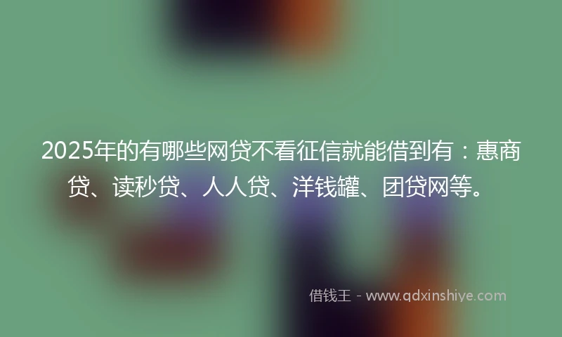 2025年的有哪些网贷不看征信就能借到有：惠商贷、读秒贷、人人贷、洋钱罐、团贷网等。