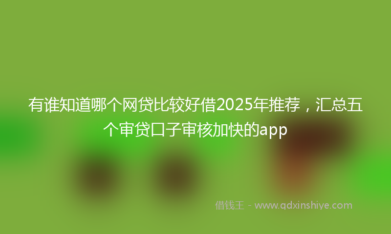 有谁知道哪个网贷比较好借2025年推荐，汇总五个审贷口子审核加快的app